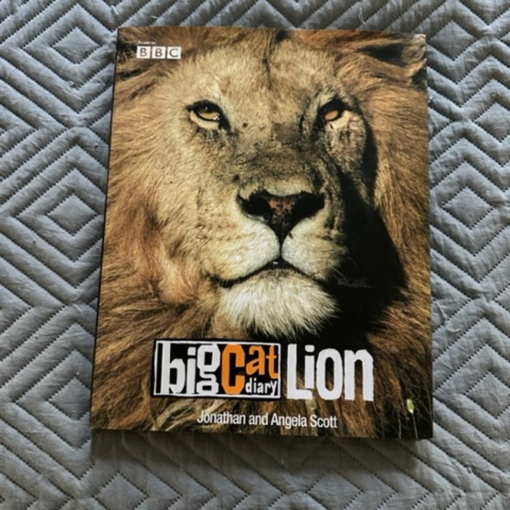 Big Cat Diary: Lion Hardcover Johnathan & Angela Scott; 2002; Dustjacket